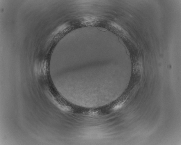 X0000074000647200609111559