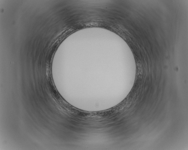 X0000074000648200609111559