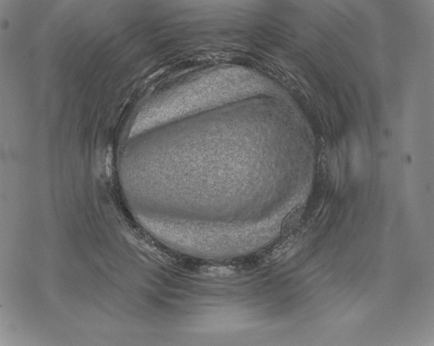 X0000074000649200609111559