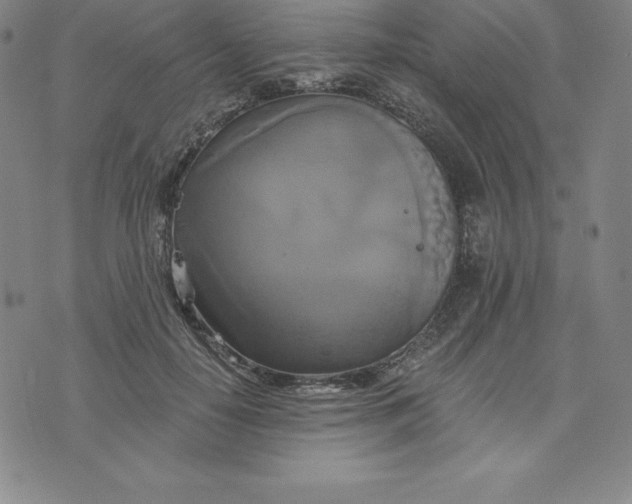 X0000074000650200609111559