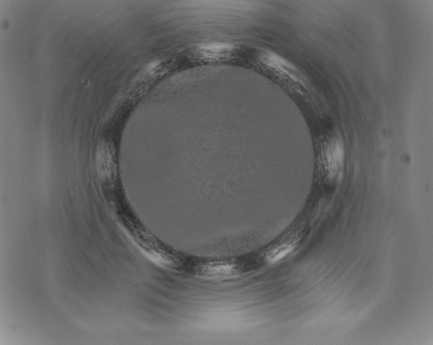 X0000074000651200609111559