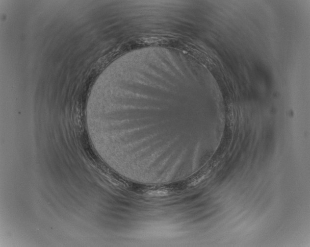 X0000074000653200609111559