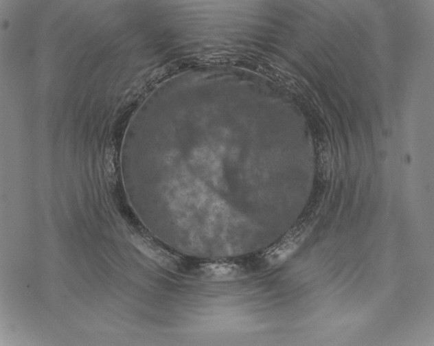 X0000074000654200609111559