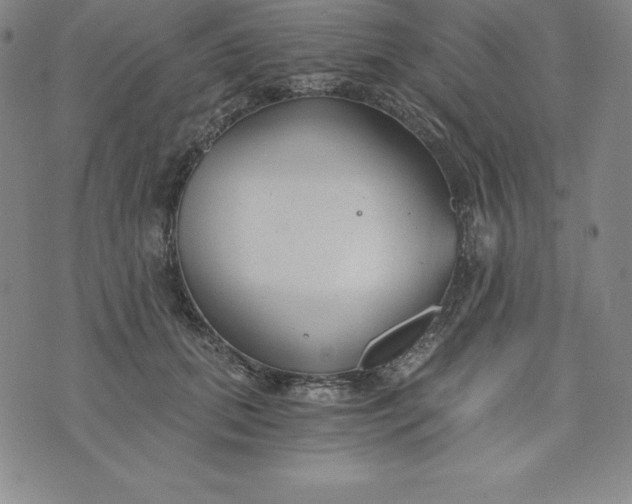 X0000074000655200609111559