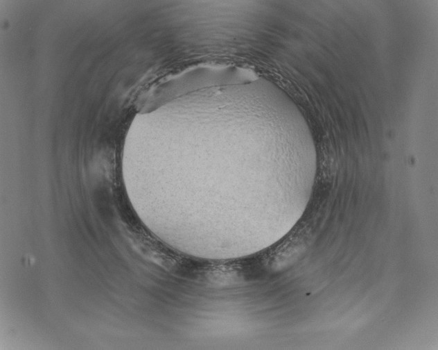 X0000074000656200609111559