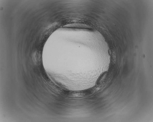 X0000074000657200609111559