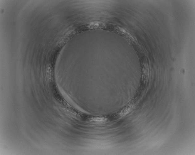 X0000074000659200609111559