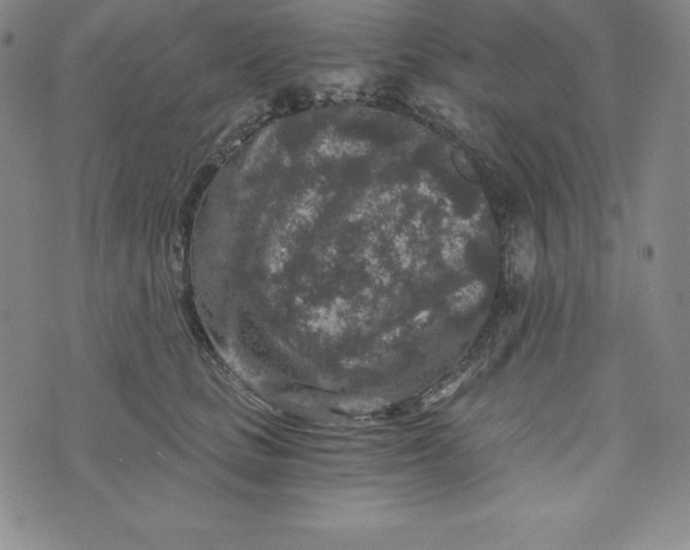 X0000074000661200609111559