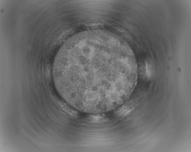 X0000074000662200609111559