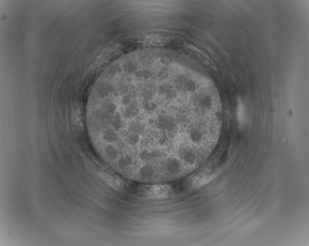 X0000074000663200609111600