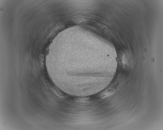 X0000074000664200609111600