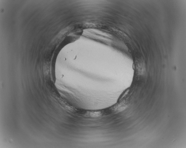 X0000074000665200609111600