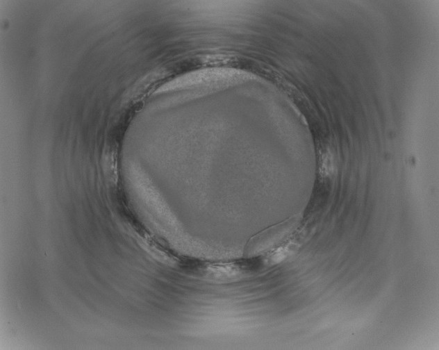 X0000074000666200609111600