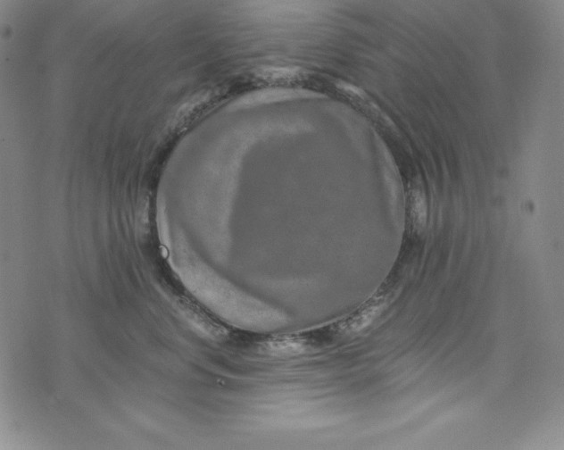 X0000074000668200609111600