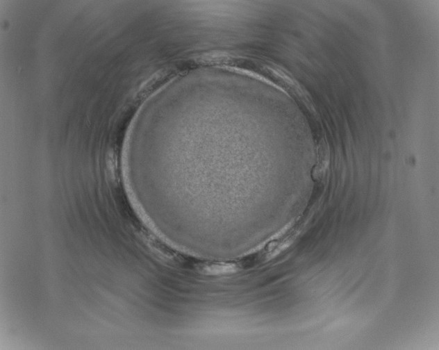 X0000074000669200609111600