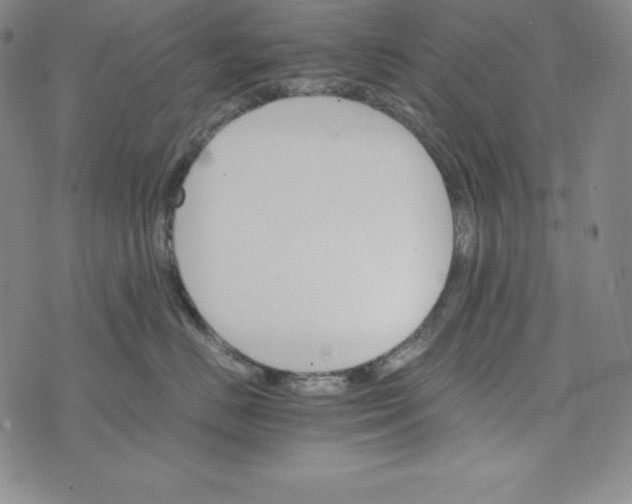 X0000074000670200609111600