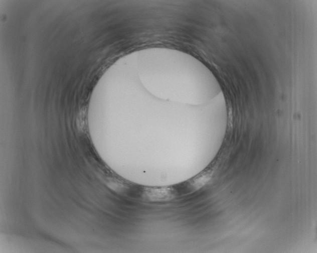 X0000074000671200609111600