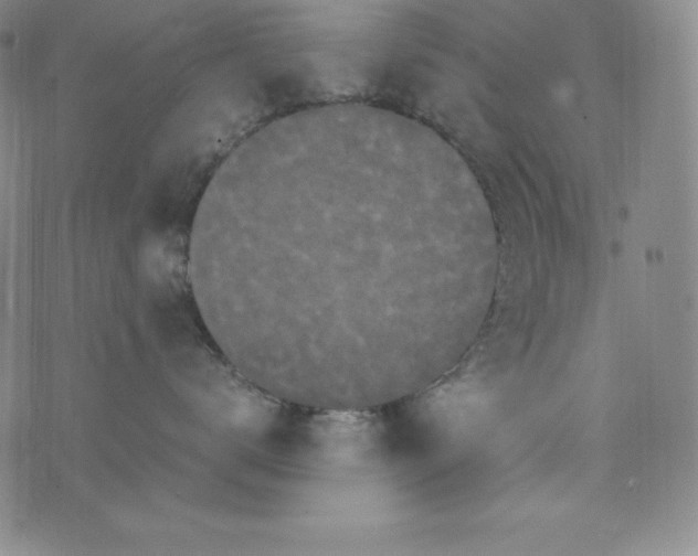 X0000074000672200609111600