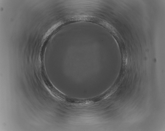 X0000074000674200609111559