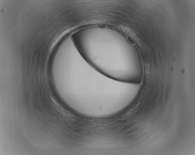 X0000074000676200609111559