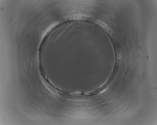 X0000074000678200609111559