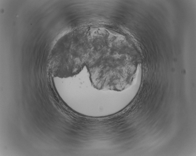 X0000074000679200609111559