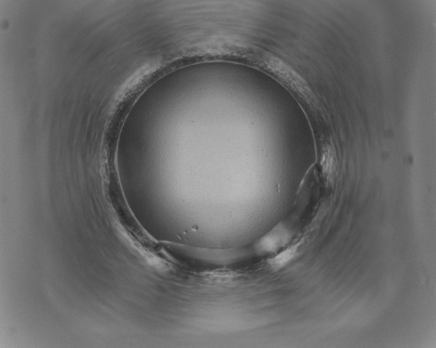 X0000074000680200609111559