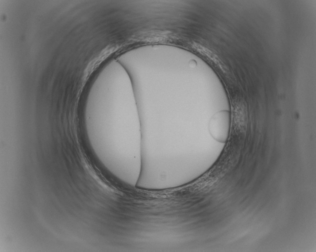 X0000074000682200609111559