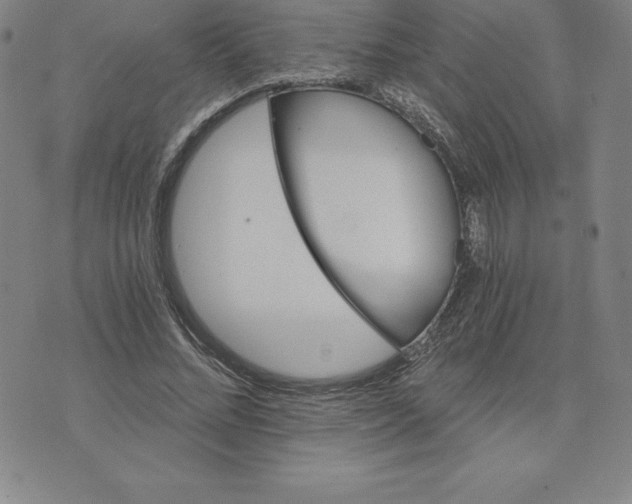 X0000074000684200609111559