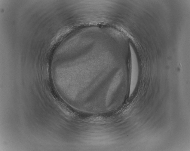 X0000074000685200609111559