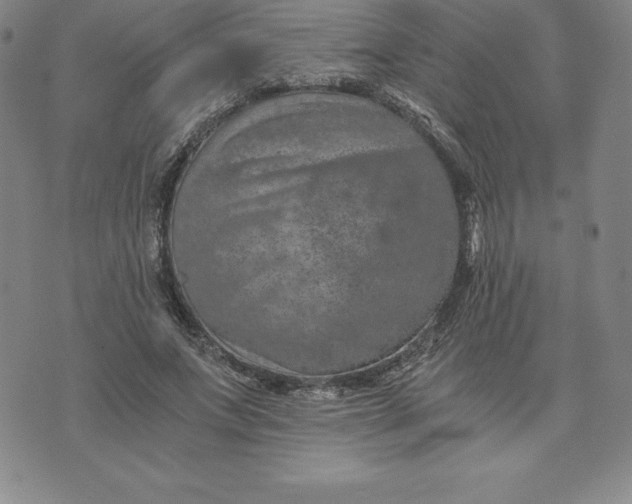 X0000074000687200609111559