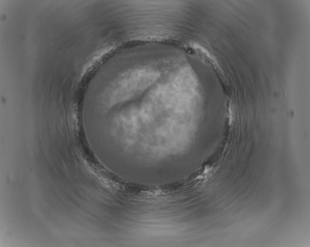 X0000074000688200609111559