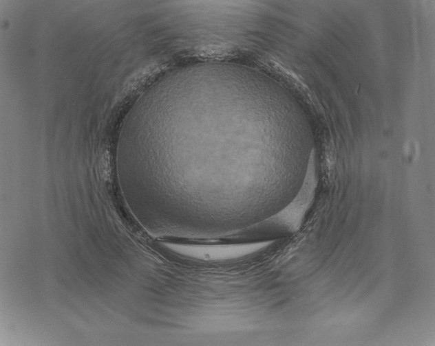 X0000074000689200609111559