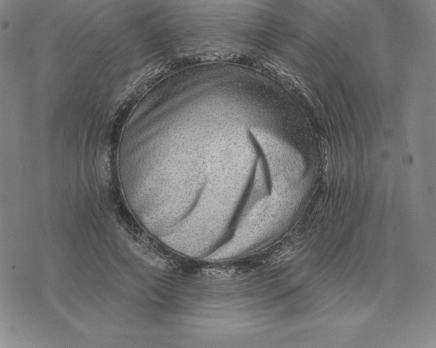 X0000074000690200609111559