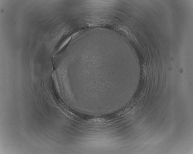 X0000074000691200609111559