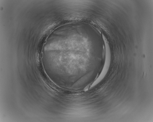 X0000074000692200609111559