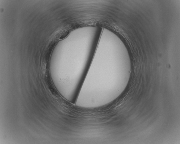 X0000074000693200609111559