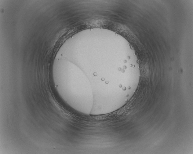 X0000074000694200609111559