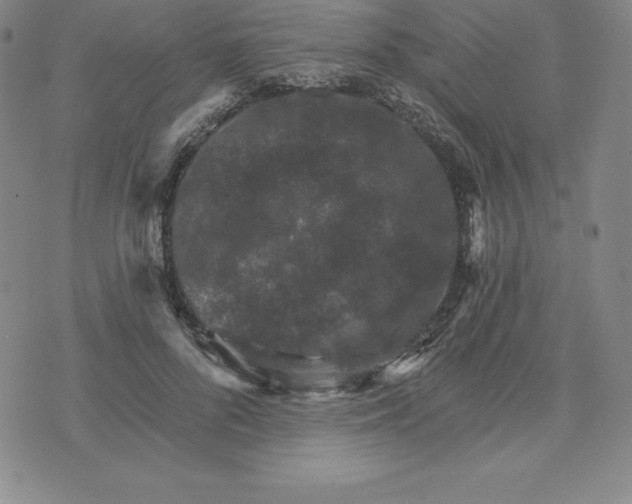 X0000074000696200609111558