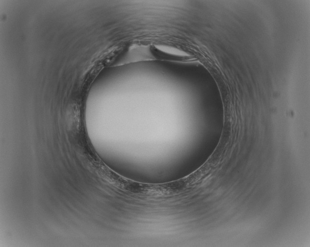 X0000074000697200609111558