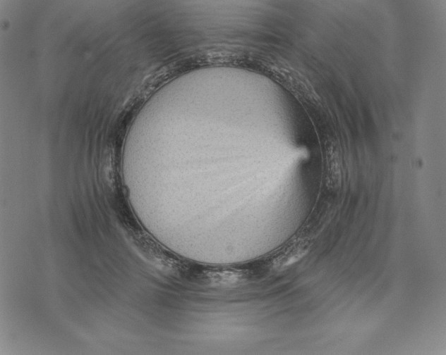 X0000074000698200609111558