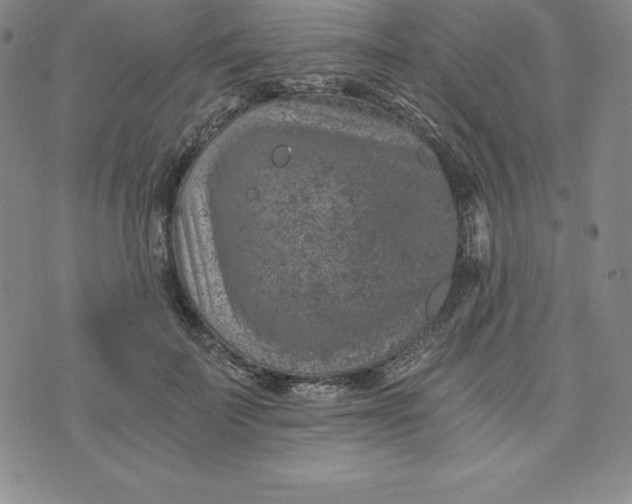 X0000074000699200609111558