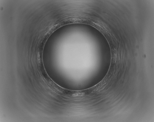 X0000074000700200609111558