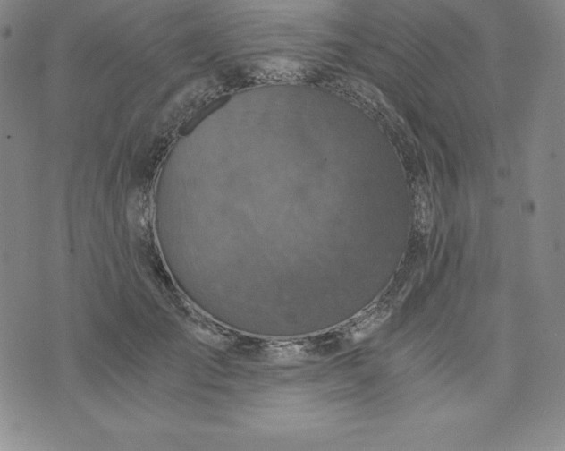 X0000074000701200609111558