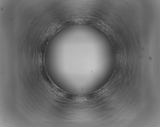 X0000074000702200609111558