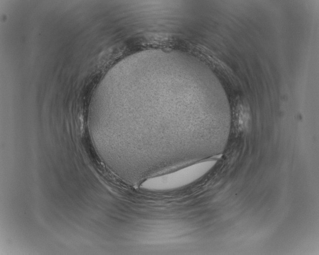 X0000074000703200609111558