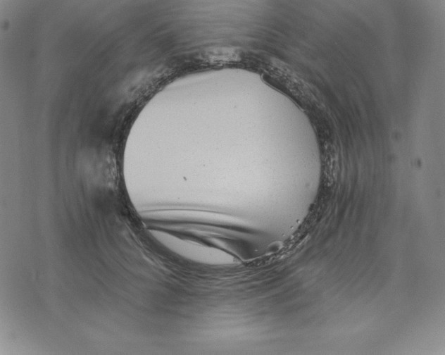 X0000074000704200609111558