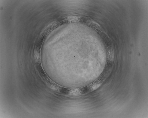 X0000074000705200609111558