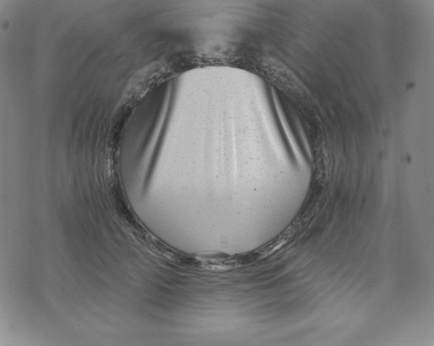 X0000074000706200609111558