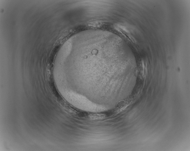 X0000074000707200609111558